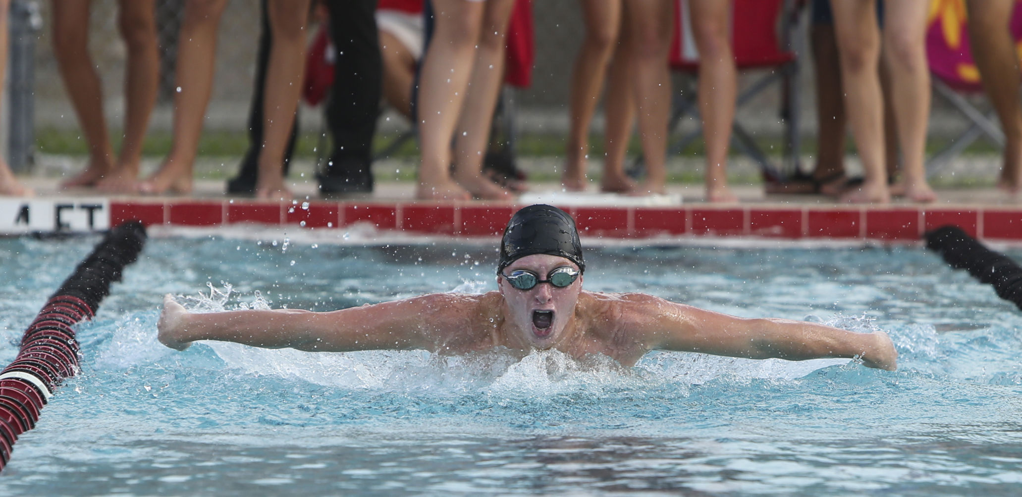 Port Charlotte Swimming